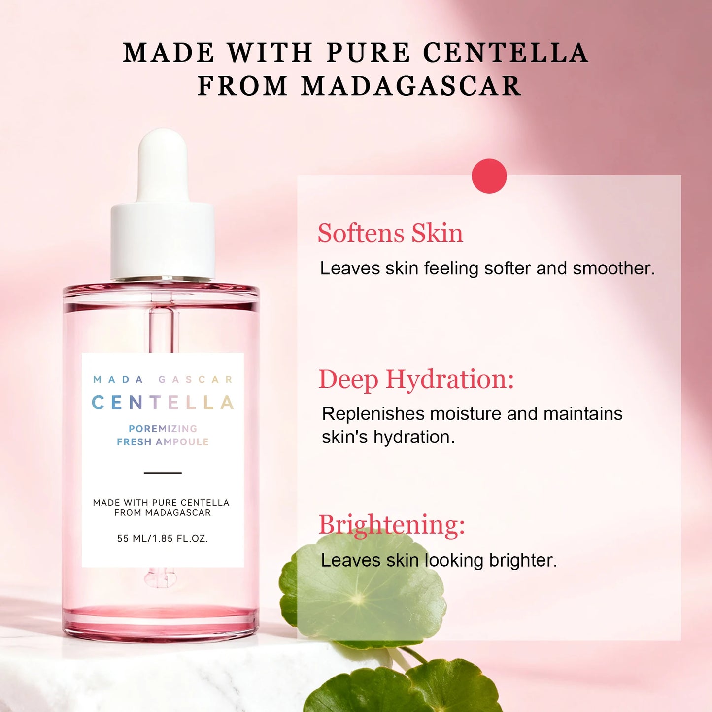 Madagascar Gotu Kola Essence 55ml - Calming Serum for Sensitive, Acne-Prone Skin, Reduces Breakouts & Provides Deep Hydration.